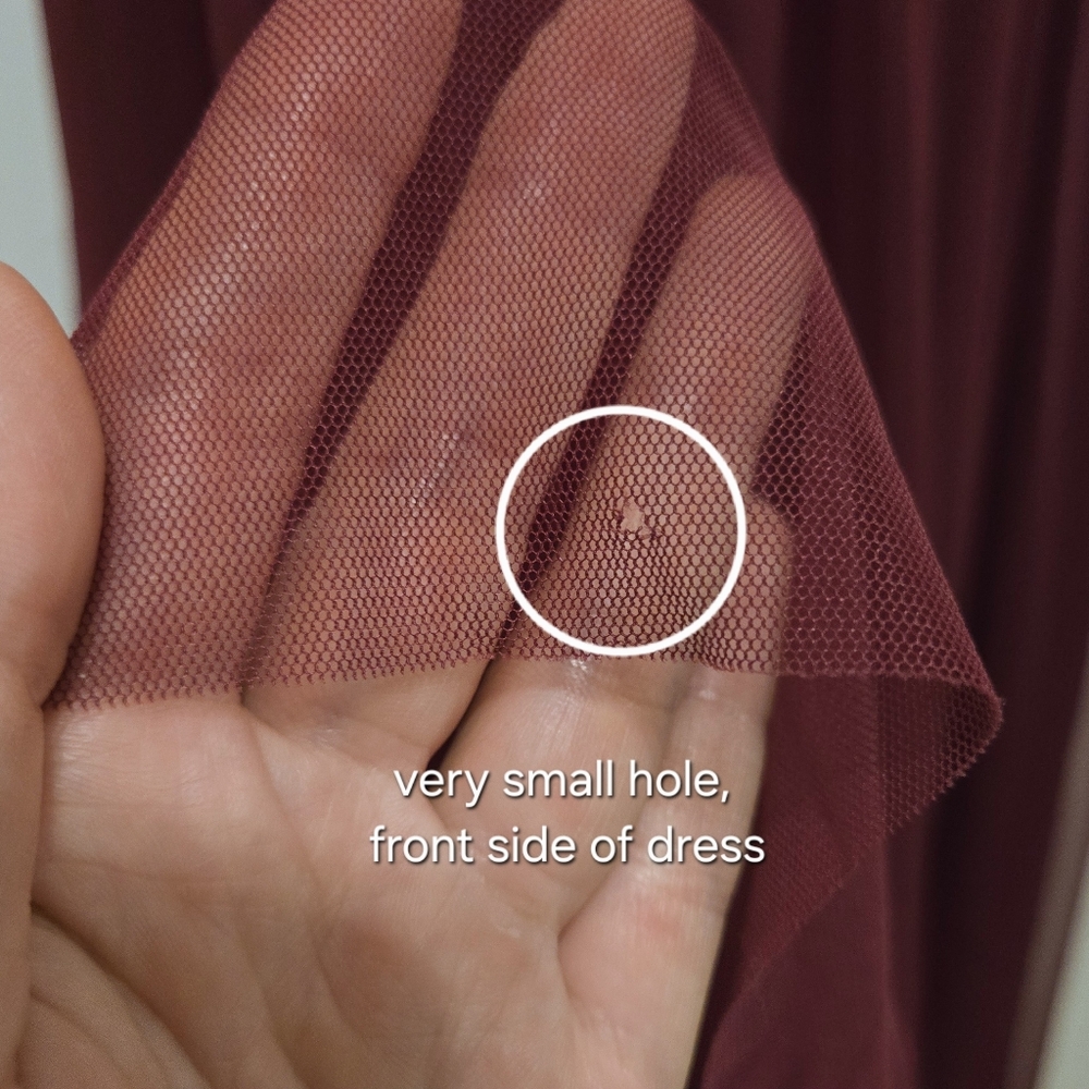 BHLDN Hitherto Fleur Dress In Black Cherry, Size 8 - Picture 10 of 10